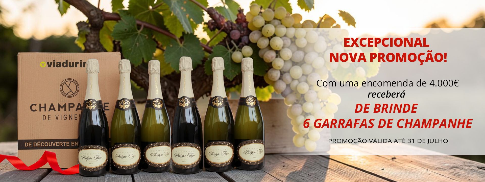 6 GARRAFAS DE CHAMPANHE DE OFERTA!