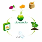 Lareira de parede branca Bio com design moderno com inserção de vidro Erica Viadurini