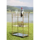 Carrinho de Alimentos com Estrutura em Ferro e Acabamento Dourado - Viviana Viadurini