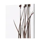 Composição de 4 Painéis com Hortênsias, Allium e Thypha Made in Italy - Cálculo Viadurini