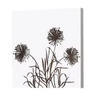 Composição de 4 Painéis com Hortênsias, Allium e Thypha Made in Italy - Cálculo Viadurini