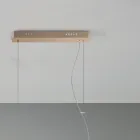 Candeeiro de Suspensão em Metal Pintado a Ouro e Vidro Soprado - Birga Viadurini