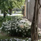 Candeeiro de pé de jardim com design branco de alumínio e folha de nenúfar - Cipriam Viadurini