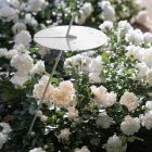 Candeeiro de pé de jardim com design branco de alumínio e folha de nenúfar - Cipriam Viadurini