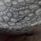 Lavatório de cerâmica de design design feito na Itália Animais Viadurini