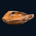 Lavatório de bancada de madeira de teca Nemo Viadurini