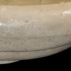 Lavatório de bancada em mármore Tito design, peça única Viadurini