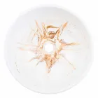 Lavatório de apoio de design em resina dourada - Dogliola Viadurini