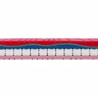 Um colchão e meio em memória de luxo A 25 cm Fabricado na Itália - Platina Viadurini