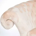 Balma capitonnè poltrona clássica de pele sintética Viadurini