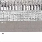 Poltrona de jardim Lounge tecido estofado e alumínio - Smart by Varaschin Viadurini