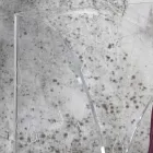 Suporte para guarda-chuva em cristal acrílico transparente decorado a laser - Versio Viadurini