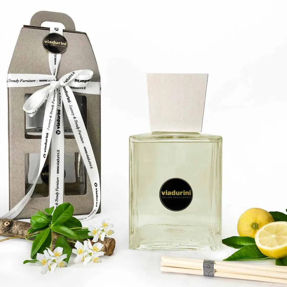 Purificador de ar ambiente de fragrância de couro 2,5 litros com bastões - Lavecchiavenezia Viadurini