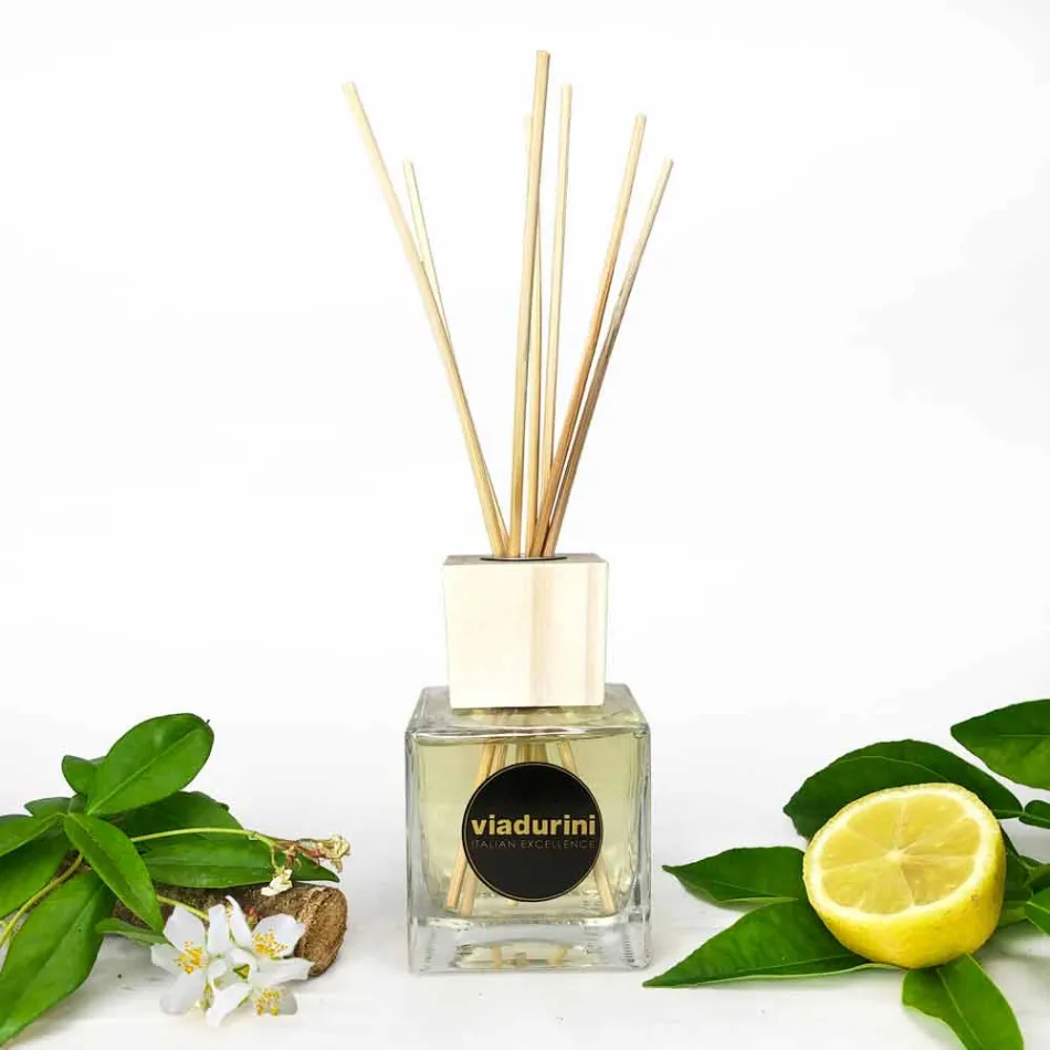 Perfumista de Sala de Perfumes de Couro 200 ml com Sticks - Lavecchiavenezia Viadurini