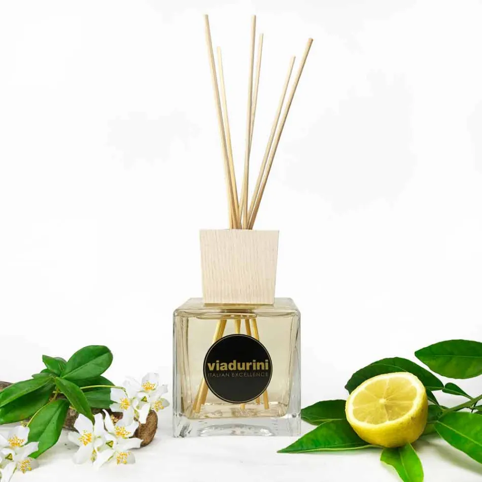 Purificador de Ar de Couro Fragrância 500 ml com Sticks - Lavecchiavenezia Viadurini