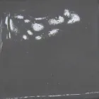 Roseta de cerâmica para composição de lâmpadas Battersea 975ST - Toscot Viadurini