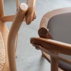 Cadeira de Jantar em Faia Europeia em Diferentes Acabamentos - Inay Viadurini