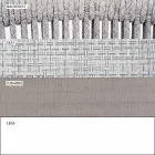 Cadeira de exterior com braços Empilhável estofado H 78cm - Smart by Varaschin Viadurini