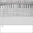 Cadeira de exterior com braços Empilhável estofado H 78cm - Smart by Varaschin Viadurini