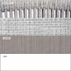 Cadeira empilhável para exterior com braços acolchoados H 73cm - Smart by Varaschin Viadurini