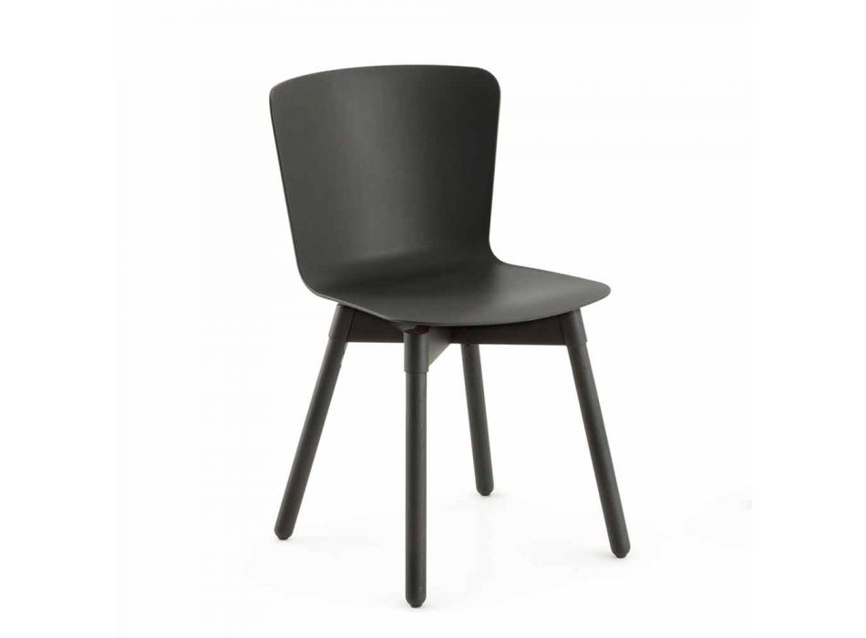 Cadeira de polipropileno com base de carvalho manchado Made in Italy, 2 peças - Scandio Viadurini