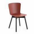 Cadeira de polipropileno com base de carvalho manchado Made in Italy, 2 peças - Scandio