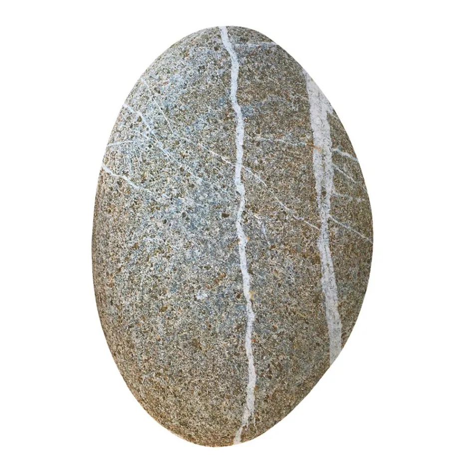 Conjunto de 12 peças Pvc Design Pvc Placemat - Rockey Viadurini