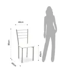 Conjunto de 4 Cadeiras com Estrutura Metálica Pintada em Cinza - Galletto Viadurini