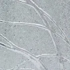 Espelho de parede retangular de madeira de abeto, produzido na Itália, Achille Viadurini