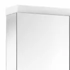 Espelho Container Moderno com 2 Portas em Alumínio Pintado a Prata - Alfio Viadurini