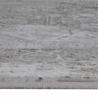 Tapete de Designer em Viscose e Bege Cinza Acrílico com Design - Presidente Viadurini