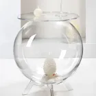 Mesa Container Multiuso em Plexiglass Transparente Fabricado na Itália - Scar Viadurini