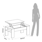 Mesa de Centro com Recipiente Ecológico de Madeira - Cripto Viadurini