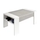 Mesa de Centro com Recipiente Ecológico de Madeira - Cripto Viadurini