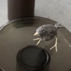 Mesa de Centro com Tampo de Vidro e Base de Metal Made in Italy - Batulla Viadurini