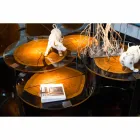 Mesa de Centro em Madeira e Aço com Pernas Metálicas Made in Italy - Damasco Viadurini