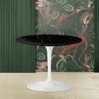 Mesa de centro Tulipa Eero Saarinen H 41 com tampo redondo de mármore preto Marquinia Viadurini