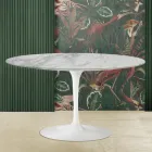 Mesa de Centro Oval Tulipa Eero Saarinen H 41 com Tampo em Mármore Arabescato Fabricado na Itália - Escarlate Viadurini