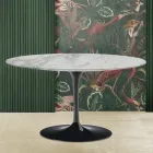 Mesa de Centro Oval Tulipa Eero Saarinen H 41 com Tampo em Mármore Arabescato Fabricado na Itália - Escarlate Viadurini