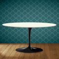Mesa de centro Saarinen Tulip, oval, 41 cm de altura, cerâmica Moonè, fabricada na Itália - cor escarlate