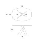 Tampo de vidro da mesa de jantar da sala de estar e pernas de madeira - botânica Viadurini