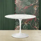 Mesa Tulipa Eero Saarinen H 73 com tampo em mármore de Carrara Made in Italy - Escarlate Viadurini