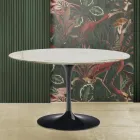 Mesa Tulipa Eero Saarinen H 73 em mármore Caracatta dourado Fabricado em Itália Viadurini