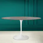 Mesa Tulipa Eero Saarinen H 73 Oval em cerâmica Pietra Grey Made in Italy - Escarlate Viadurini