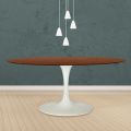 Mesa Tulipa Eero Saarinen H 74 oval em carvalho manchado de nogueira escura Made in Italy - Escarlate
