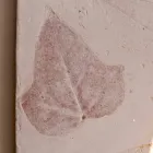 Lâmpada de parede de terracota Toscot Vivaldi made in Italy Viadurini