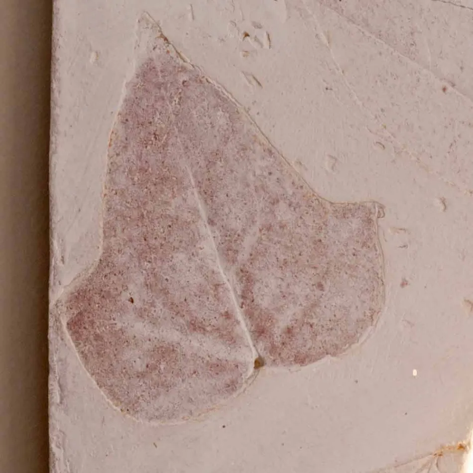 Lâmpada de parede de terracota Toscot Vivaldi made in Italy Viadurini