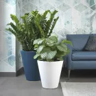 Vaso decorativo redondo de polietileno colorido fabricado na Itália - Mengo Viadurini