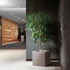 Vaso em Forma Cúbica de Polietileno Colorido Feito na Itália - Tonello Viadurini