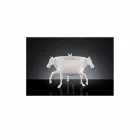 Vaso Ornamental Interior em Cerâmica Branca ou Ouro 24k Fabricado na Itália - Jacky Viadurini